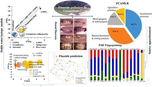 科技服務健康絲路，留學生論文點亮國際學術舞臺