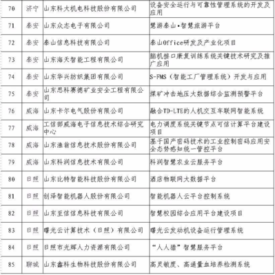 日照5家企業(yè)入選省級重點(diǎn)項目名單，引領(lǐng)網(wǎng)絡(luò)與信息安全軟件開發(fā)新浪潮